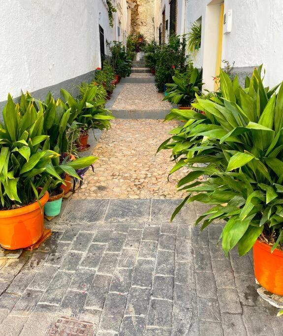 Apartamento Mi Rincon Favorito Cogollos De La Vega Exterior foto